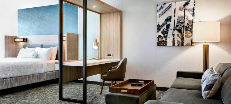 哈特福德克伦威尔SpringHill Suites酒店(SpringHill Suites Hartford Cromwell)图片