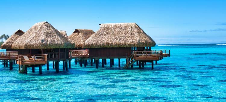 索菲特起亚索菲特奥拉莫雷阿岛海滩度假酒店(Sofitel Kia Ora Moorea Beach Resort)图片