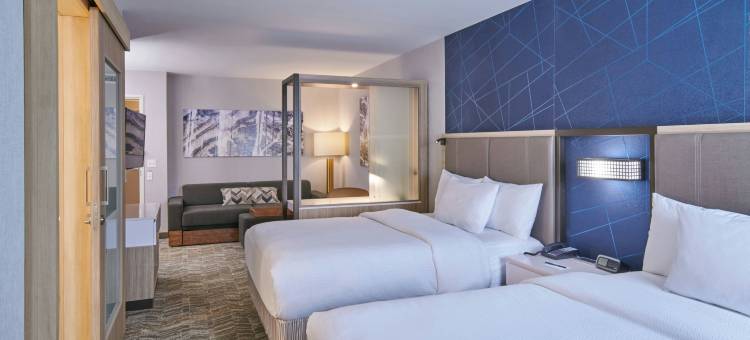 底特律迪尔伯恩SpringHill Suites酒店(SpringHill Suites Detroit Dearborn)图片