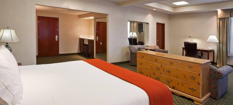 艾伦帕克/迪尔伯恩舒适套房酒店(Comfort Inn & Suites Allen Park - Dearborn)图片