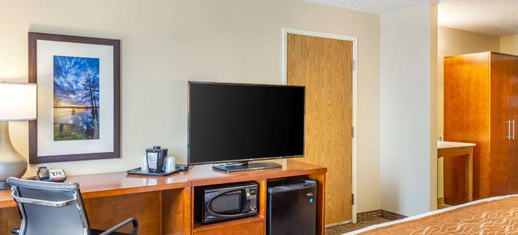 迪卡尔布舒适酒店-毗邻大学(Comfort Inn DeKalb - Adjacent the University)图片