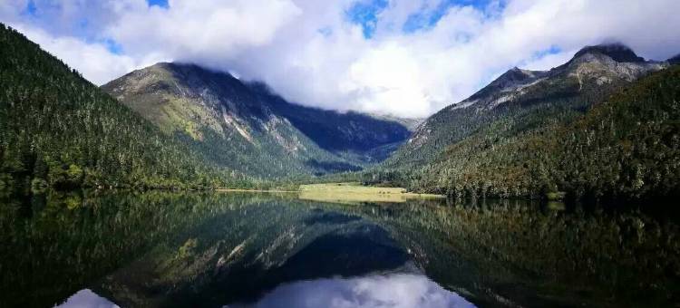 九龙首座商务酒店图片