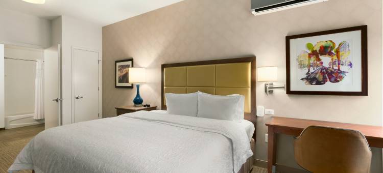 芝加哥市区-N环路-密歇根大道欢朋旅馆(Hampton Inn Chicago Downtown/N Loop/Michigan Ave)图片