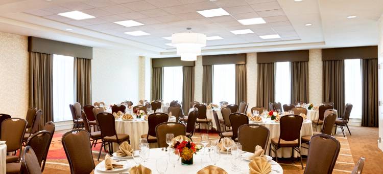 波士顿洛根机场希尔顿花园酒店(Hilton Garden Inn Boston Logan Airport)图片