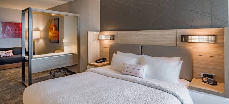 达拉斯中央高速公路SpringHill Suites酒店(SpringHill Suites Dallas Central Expressway)图片