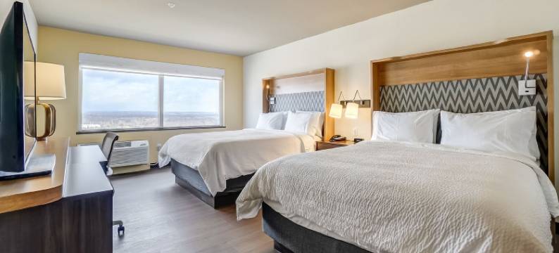 渥太华加蒂诺假日酒店(Holiday Inn GATINEAU – OTTAWA by IHG)图片