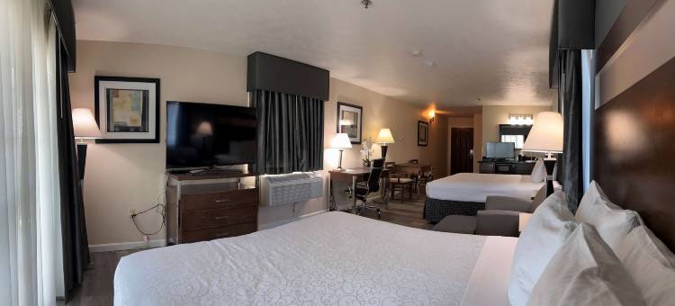 美洲贝斯特韦斯特酒店(Best Western Americana)图片