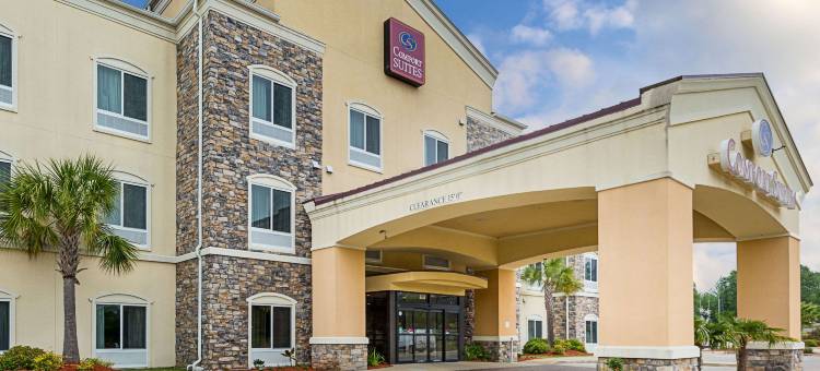 舒适套房酒店(Comfort Suites Leesville Near Fort Johnson)图片