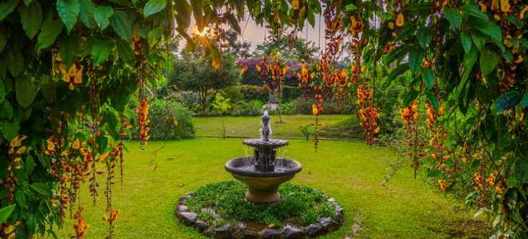 斯图哈帕玫瑰花园大酒店(Kebun Mawar Situhapa)图片