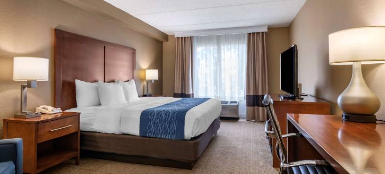 奥兰多北舒适套房酒店(Comfort Inn & Suites Orlando North)图片