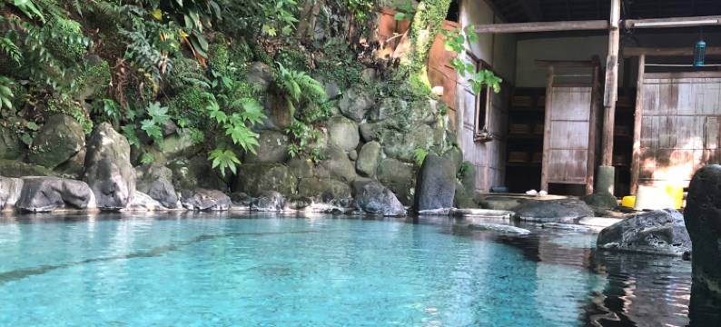 绿树环绕的疗养温泉泉屋旅馆(Izuya Ryokan)图片