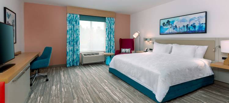 佛罗里达巴拿马城机场希尔顿花园酒店(Hilton Garden Inn Panama City Airport)图片