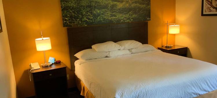 沃森温德姆戴斯酒店(Days Inn by Wyndham Wauseon)图片