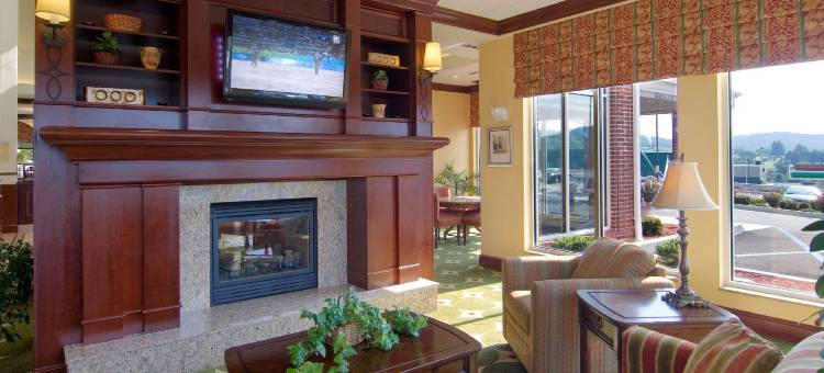 希尔顿花园酒店-克拉克斯堡(Hilton Garden Inn Clarksburg Bridgeport)图片