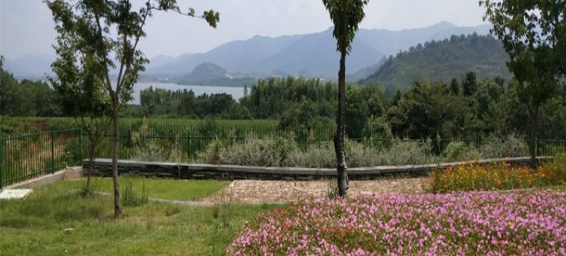 蒋卫云度假别墅(张灵慕公路分店)图片