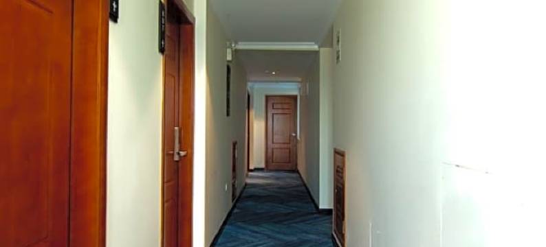 莱兹商务酒店(Lyz Business Hotel)图片