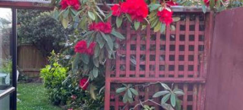 Charm on Chippendale Ensuite B&B图片