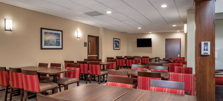 舒适套房酒店-近德克萨斯医学中心NRG体育场(Comfort Suites Near Texas Medical Center - NRG Stadium)图片