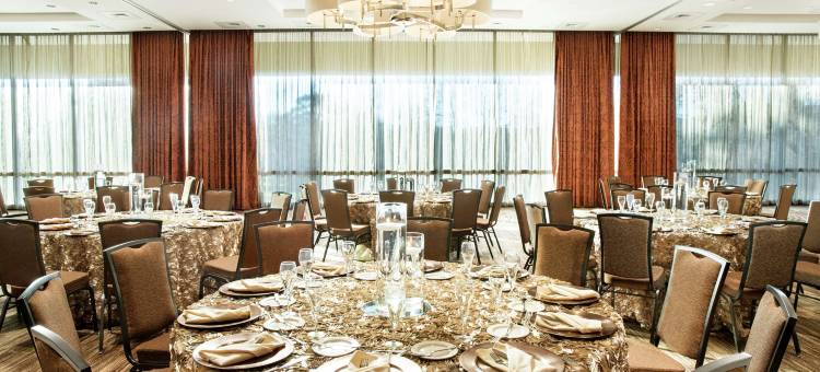 休斯顿大学希尔顿酒店(Hilton University of Houston)图片