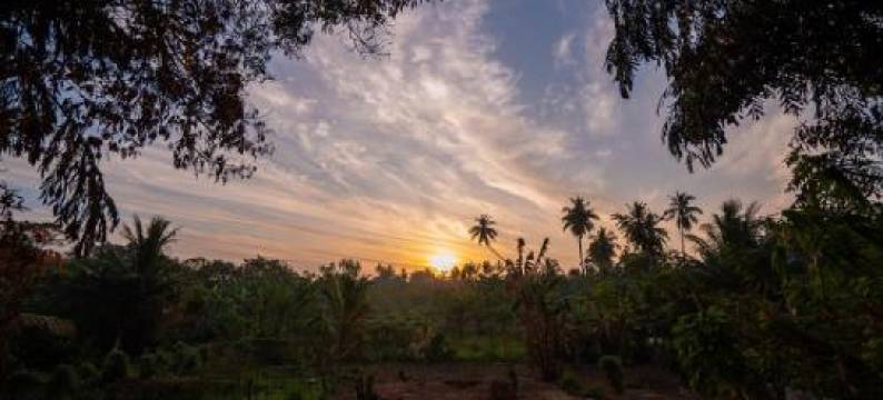 Your Dream Bungalow - Mirissa图片