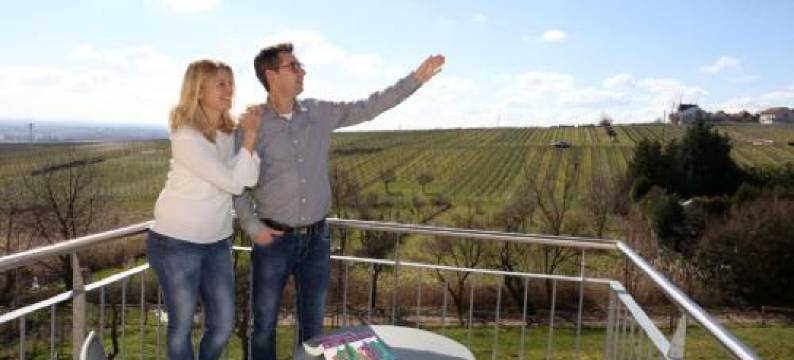 阿尔特瑞比斯查勒霍弗酒店(Wohlfühlhotel Alte Rebschule)图片