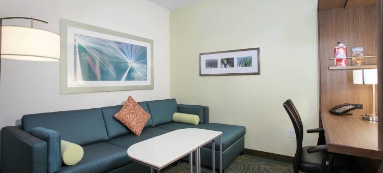 SpringHill Suites Orlando at Flamingo Crossings® Town Center/Western Entrance图片