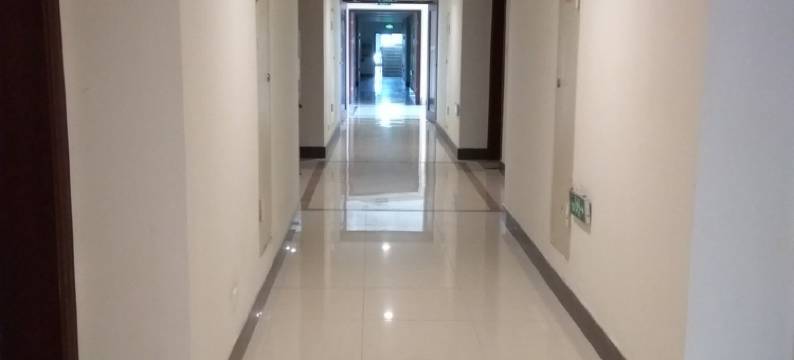 鄂州严先生民宿(分店)图片