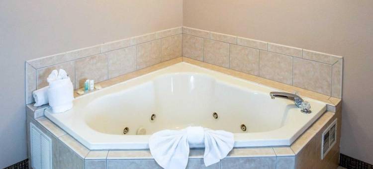 劳伦斯堡舒适酒店(Comfort Inn & Suites)图片