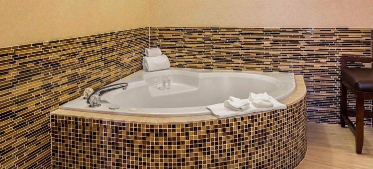 斯帕福德附近舒格兰舒适套房酒店(Comfort Suites Stafford Near Sugarland)图片