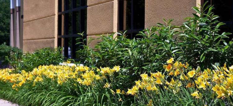 亚历山大-五角大楼南欢朋酒店(Hampton Inn Alexandria/Pentagon South)图片