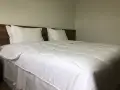 雙人房/雙床房