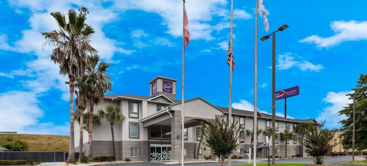 舒眠套房酒店(Sleep Inn & Suites)图片