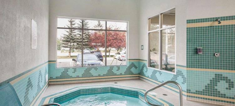 南部舒适酒店(Comfort Inn & Suites South)图片