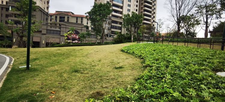 橘子轻奢民宿(平云大道分店)图片