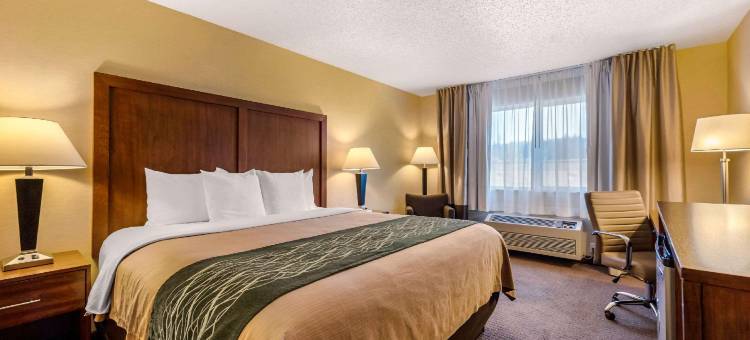 西雅图北部博塞尔舒适酒店(Comfort Inn & Suites Bothell – Seattle North)图片