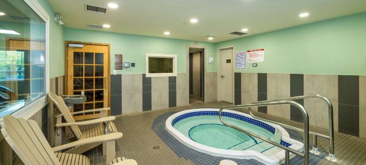 舒适套房酒店(Comfort Inn & Suites)图片