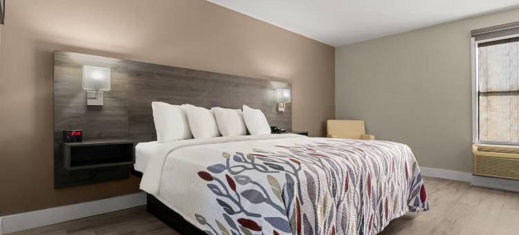 红屋顶华盛顿酒店(Red Roof Inn Washington, NC)图片