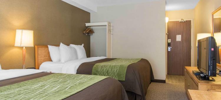 舒适酒店(Comfort Inn Dartmouth)图片