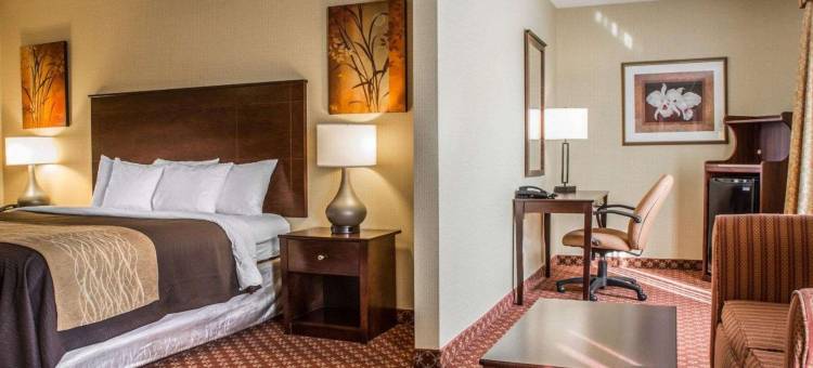 康乃迪克诺格塔克谢尔顿舒适酒店(Comfort Inn Naugatuck-Shelton, CT)图片