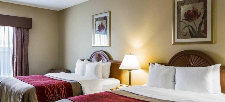 凯艺套房酒店(Quality Inn & Suites Houma)图片