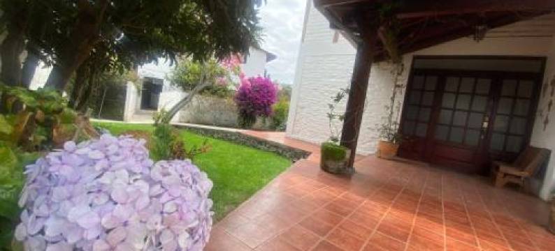 金塔拉斯布干维利亚斯(Quinta Hotel Las Buganvillas)图片