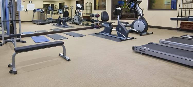 奥罗谷图森北智选假日套房酒店(Holiday Inn Express & Suites Oro Valley-Tucson North)图片