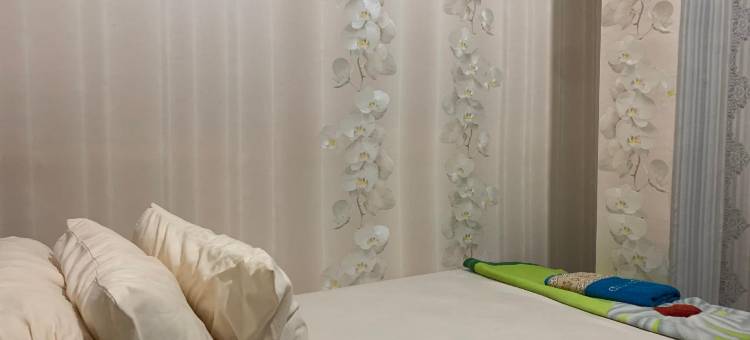 O酒店郁金香旅馆靠近塔纳邦卡村大清真寺(Hotel O Wisma Tulip Near Masjid Besar Desa Tanabangka)图片