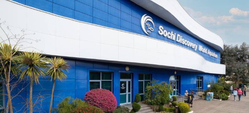 Vidnyi公寓酒店(Apartments Vidny)图片