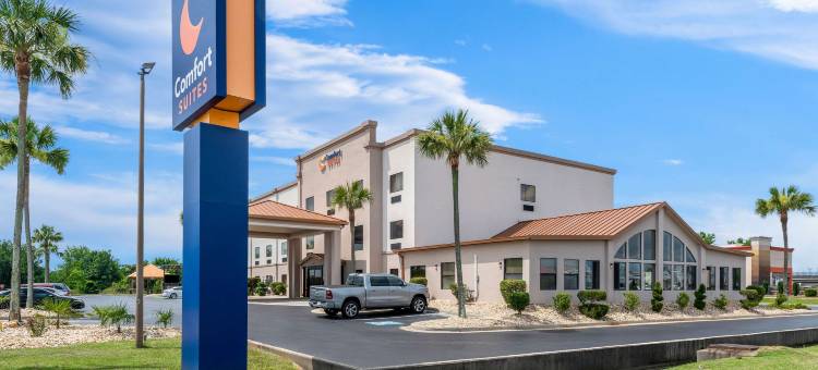 近罗宾斯空军基地舒适套房酒店(Comfort Suites Near Robins Air Force Base)图片