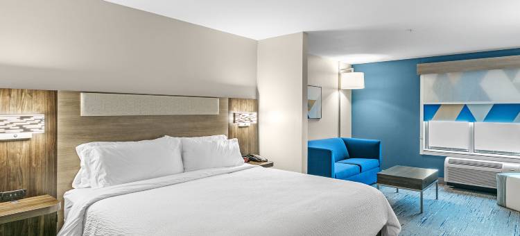 智选假日套房酒店-诺科米斯萨拉索塔南部(Holiday Inn Express & Suites Nokomis - Sarasota South)图片