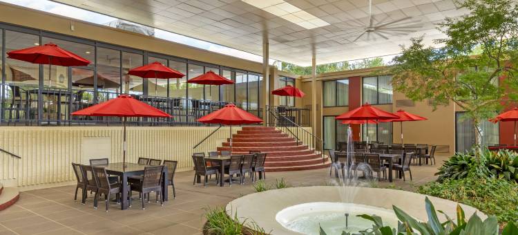 伯灵顿贝斯特韦斯特优质酒店(Best Western Plus Burlington)图片
