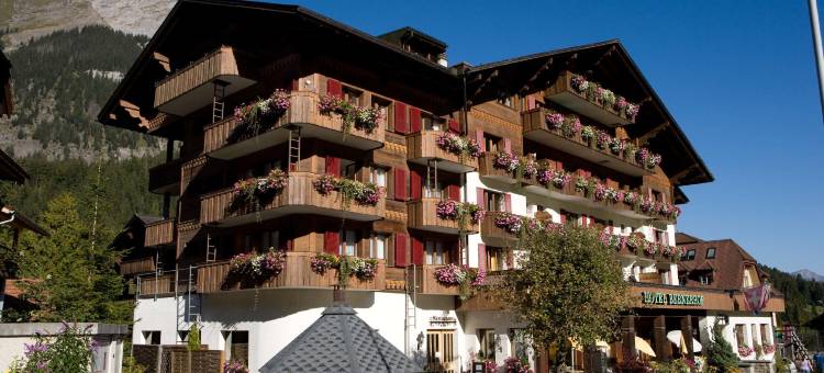 坎德施泰格博尼福餐厅酒店(Bernerhof Swiss Quality Hotel)图片