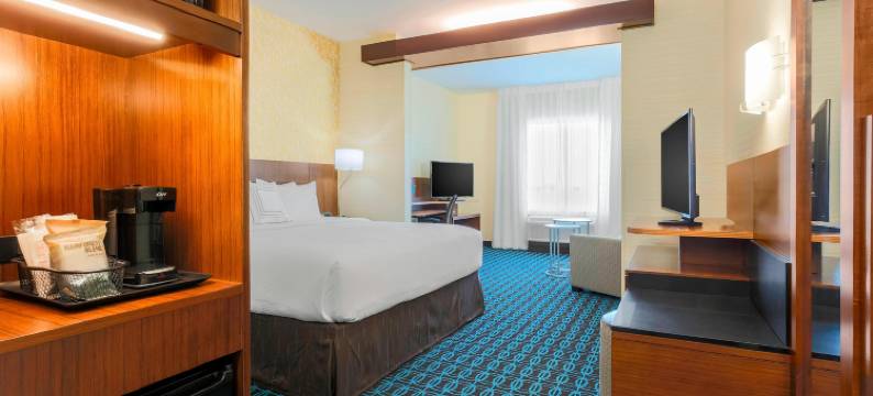 万枫酒店及套房迪凯特会议中心(迪凯特)(Fairfield Inn & Suites Decatur at Decatur Conference Center)图片