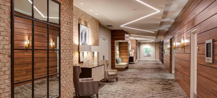 北查尔斯顿万豪酒店(North Charleston Marriott)图片